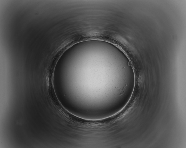 X0000097851209200803201531