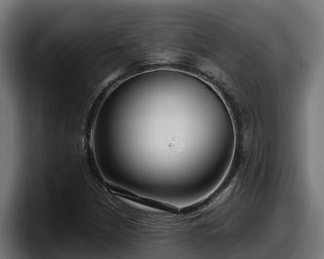 X0000097851210200803201531