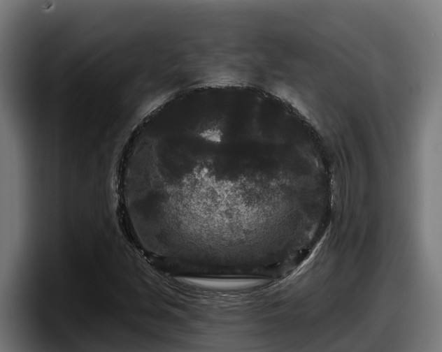 X0000097851213200803201531