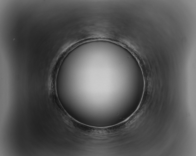 X0000097851215200803201531