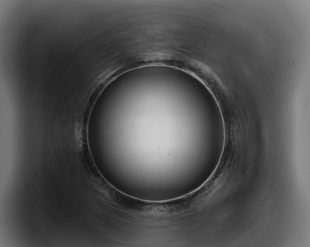 X0000097851217200803201531