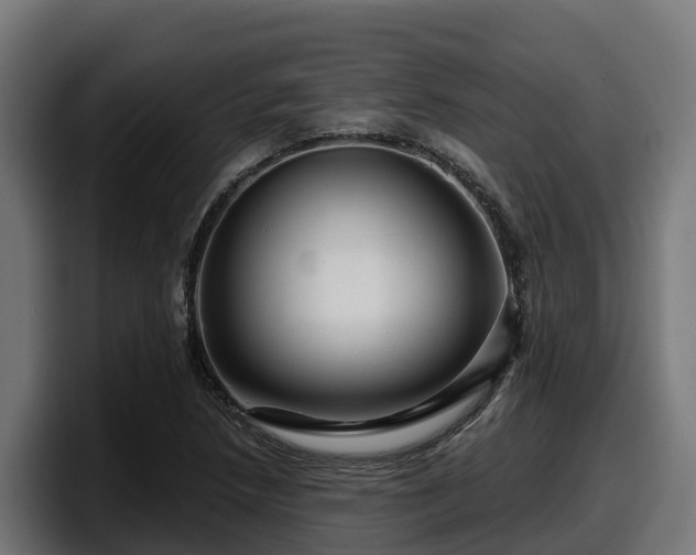 X0000097851218200803201531