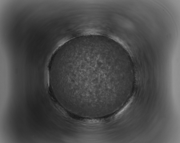 X0000097851219200803201531