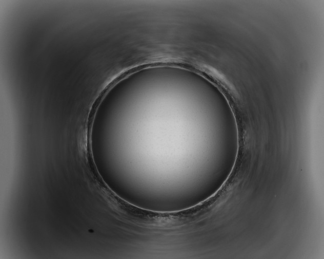 X0000097851220200803201531