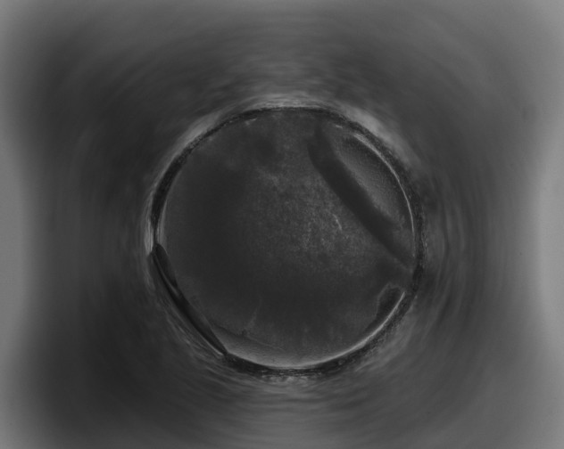 X0000097851221200803201531