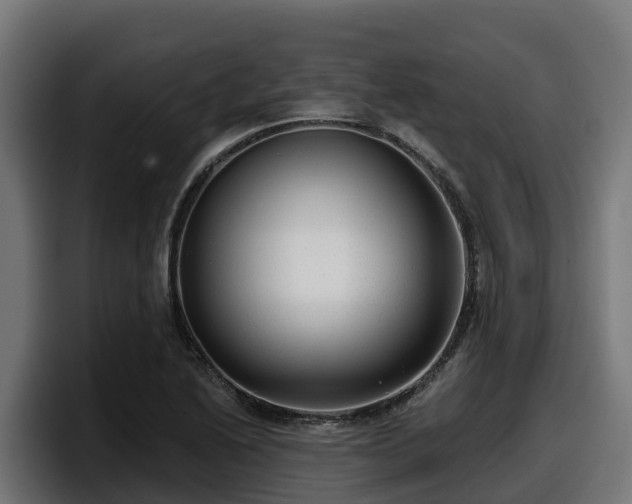 X0000097851222200803201531