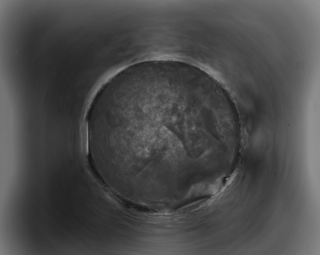 X0000097851223200803201531
