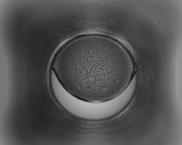 X0000097851224200803201531