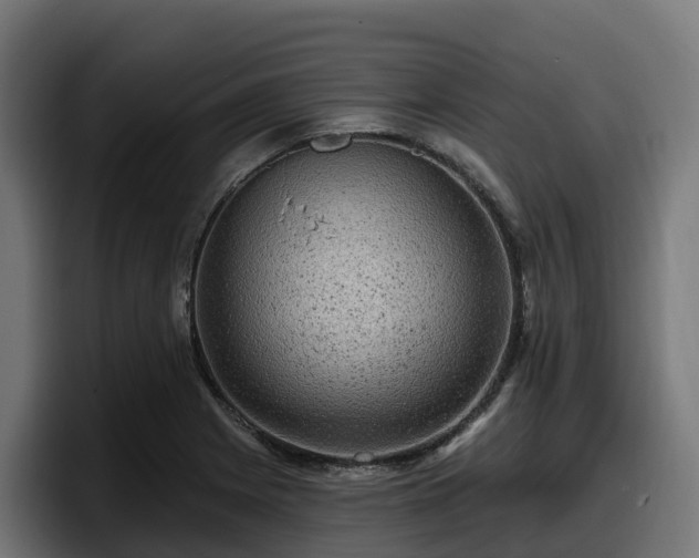 X0000097851225200803201531