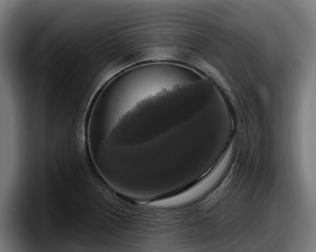 X0000097851226200803201531