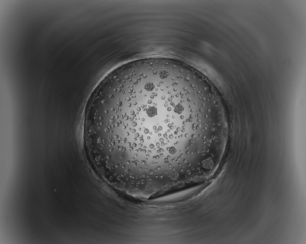 X0000097851228200803201531