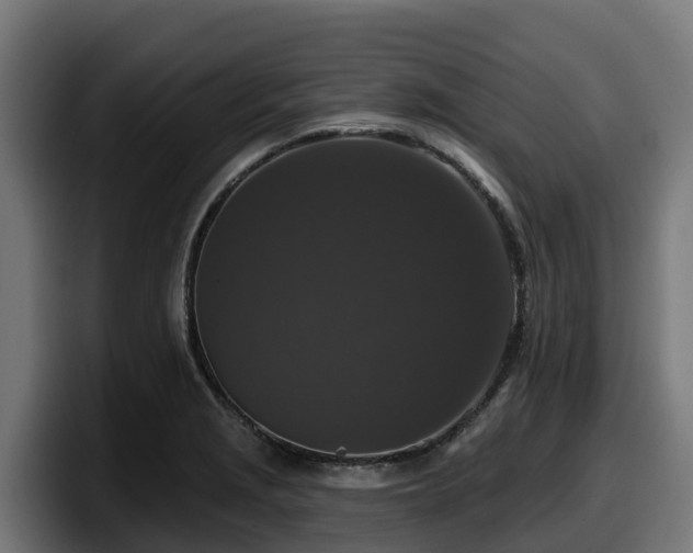 X0000097851229200803201531