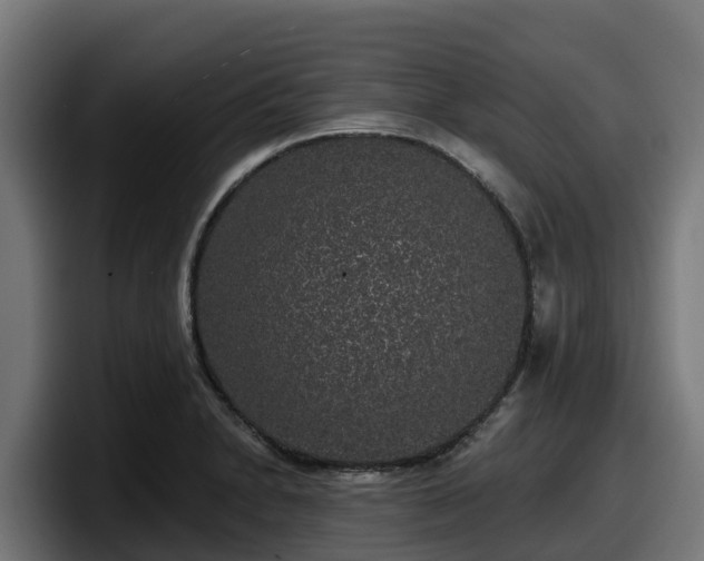 X0000097851230200803201531