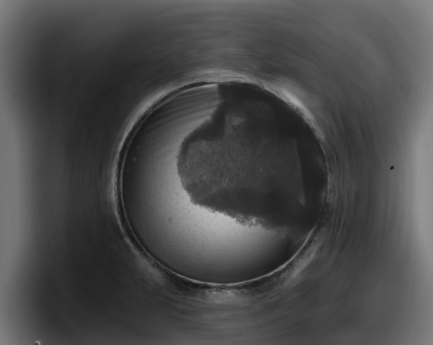 X0000097851231200803201531