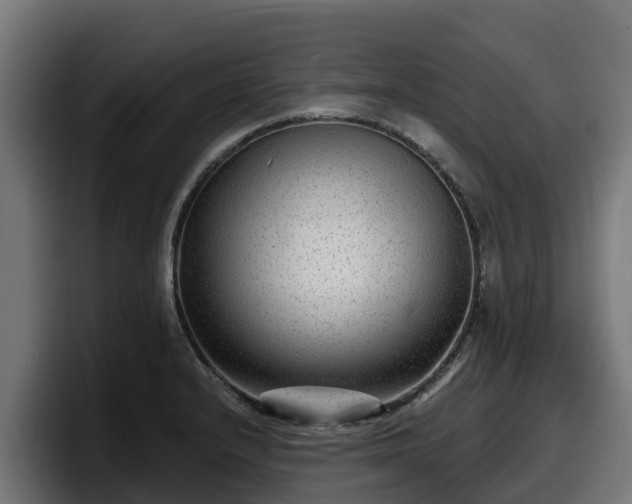 X0000097851232200803201531