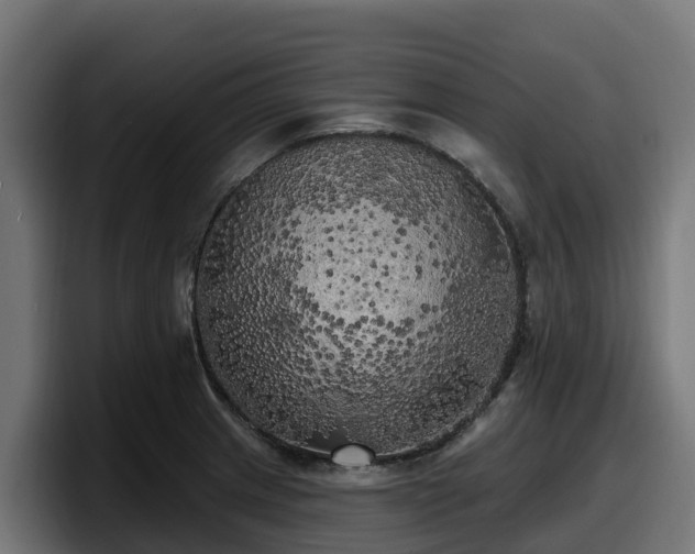 X0000097851233200803201531