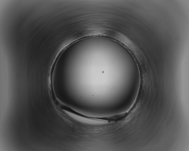 X0000097851234200803201531