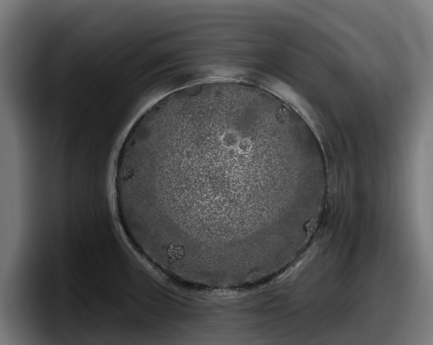 X0000097851235200803201531