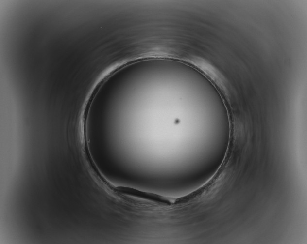 X0000097851238200803201531
