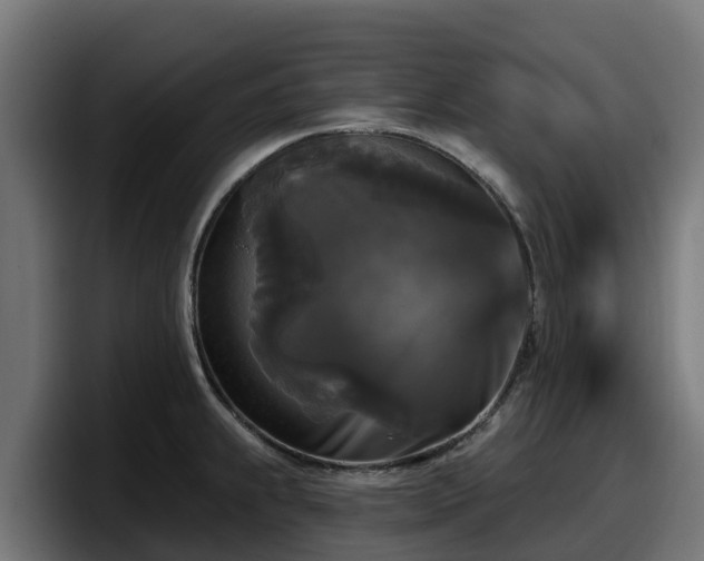 X0000097851239200803201531