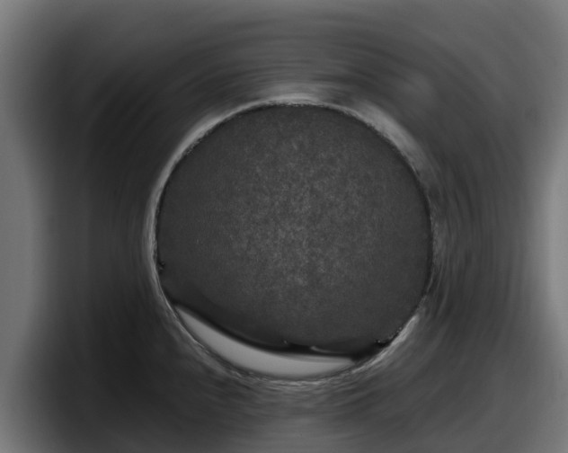 X0000097851240200803201531
