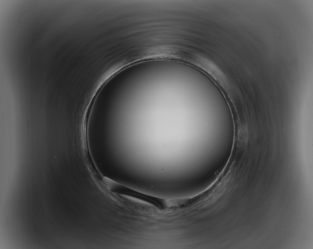 X0000097851242200803201531