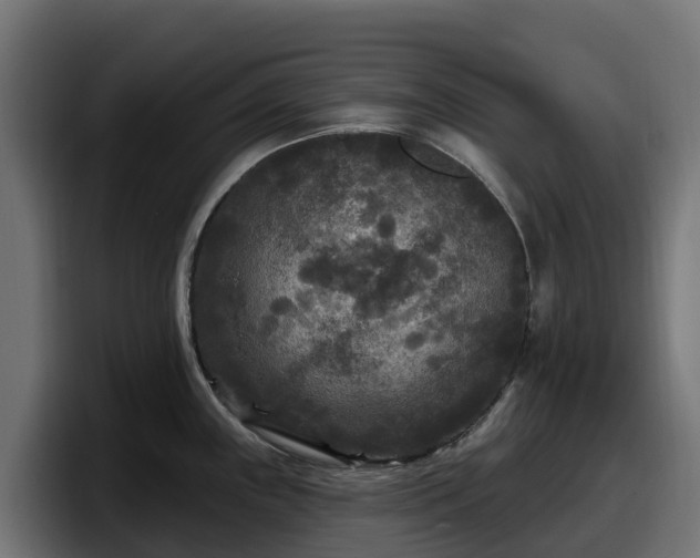 X0000097851243200803201531