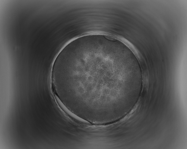 X0000097851244200803201531