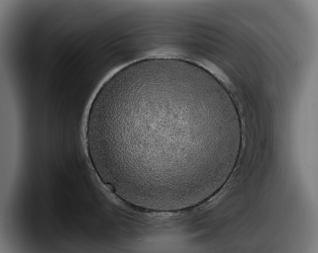 X0000097851248200803201531