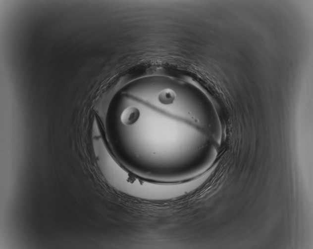 X0000097851249200803201531