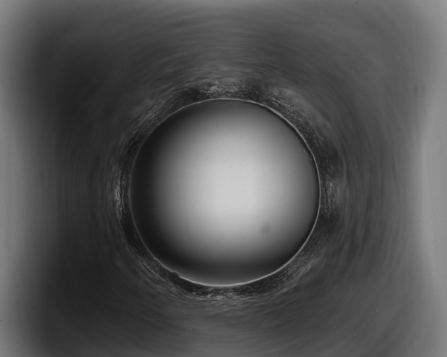 X0000097851250200803201531