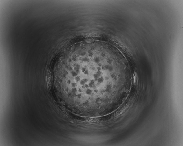 X0000097851251200803201531