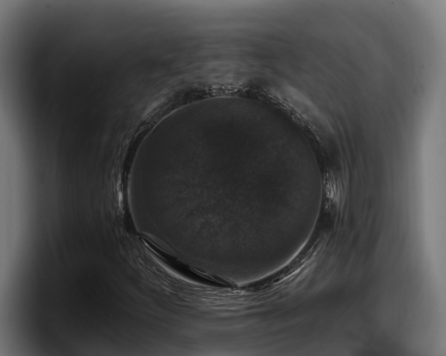 X0000097851252200803201531
