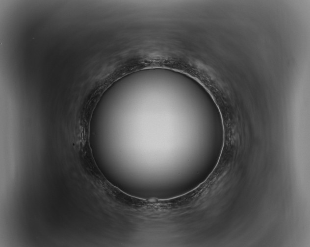 X0000097851253200803201531