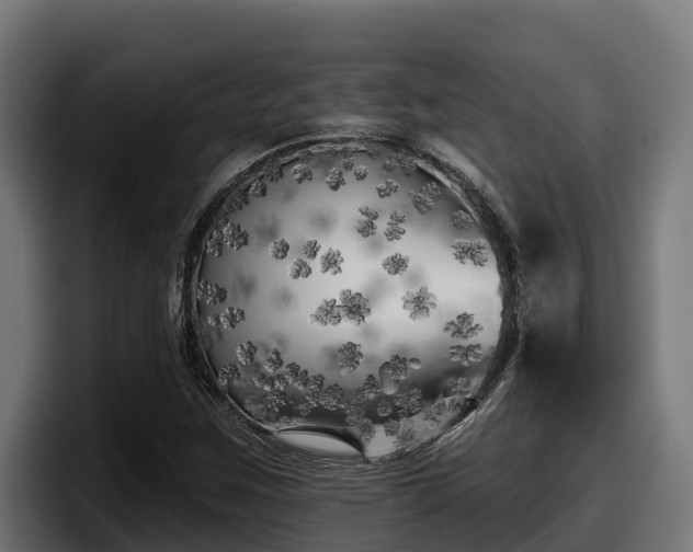 X0000097851259200803201531