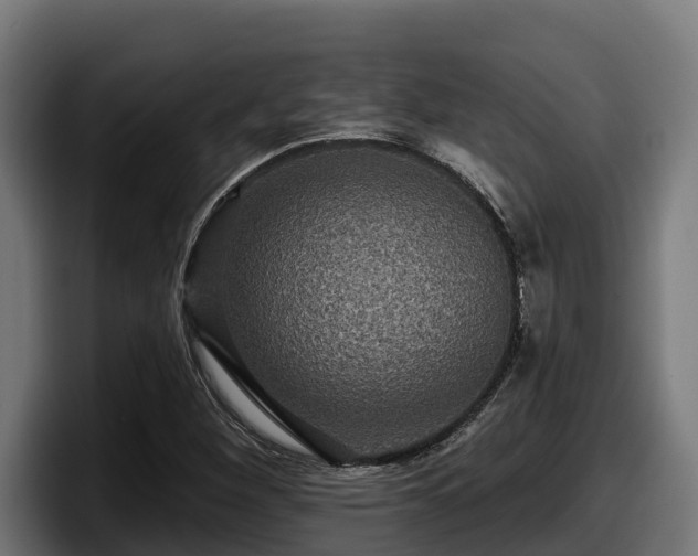 X0000097851260200803201531