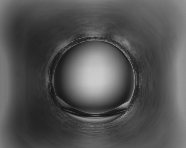 X0000097851261200803201531