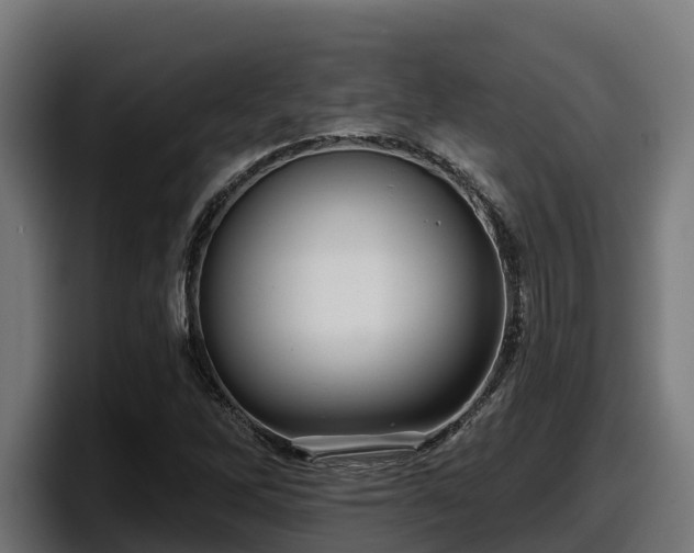 X0000097851262200803201531