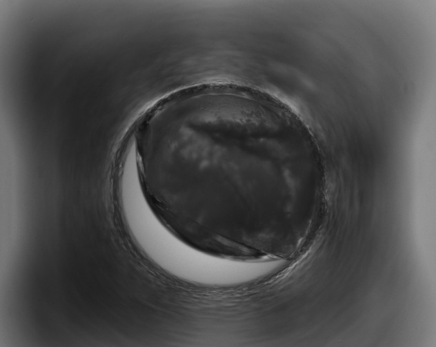 X0000097851263200803201531