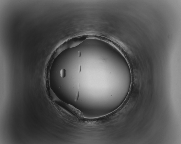 X0000097851264200803201531