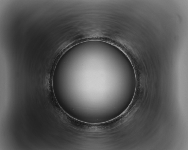 X0000097851265200803201531