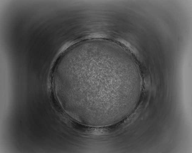 X0000097851266200803201531