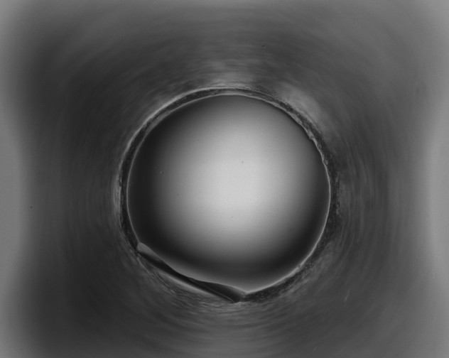 X0000097851268200803201531