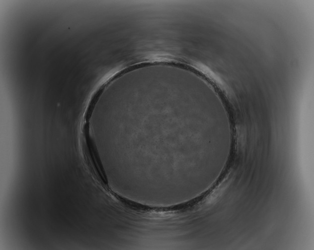 X0000097851269200803201531