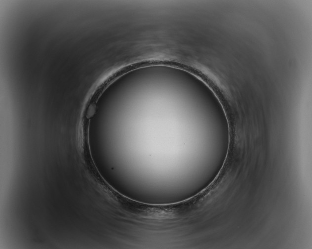 X0000097851270200803201531