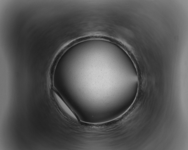 X0000097851271200803201531