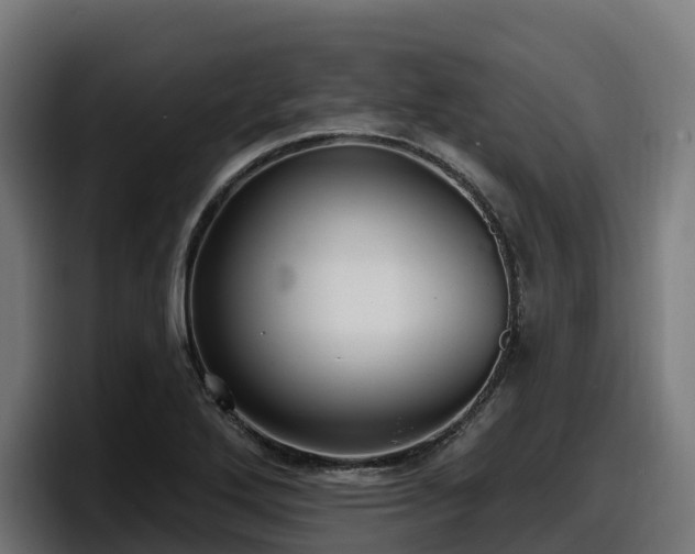 X0000097851272200803201531