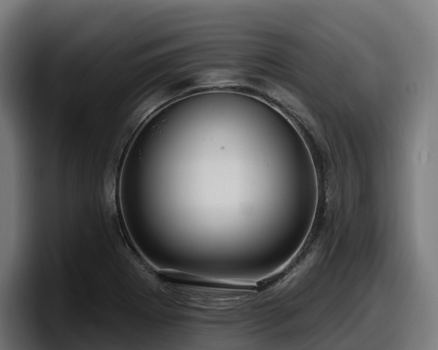 X0000097851273200803201531