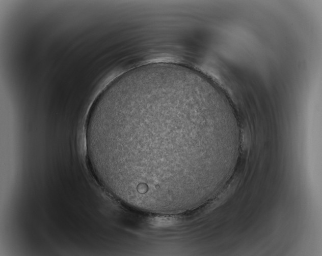 X0000097851274200803201531