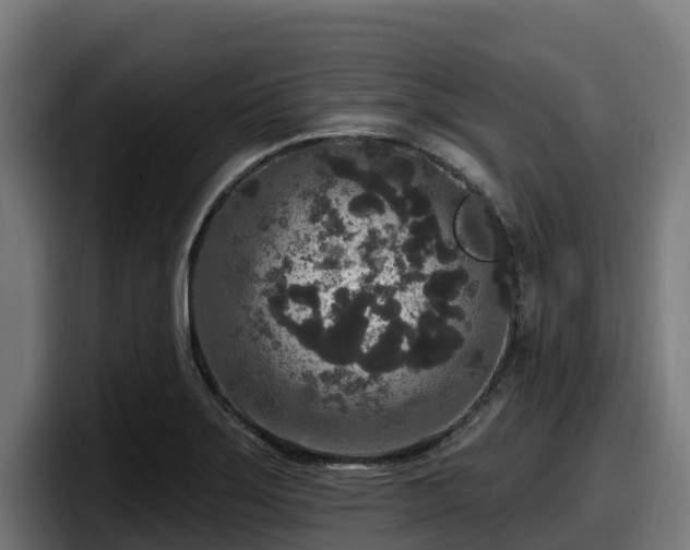 X0000097851275200803201531